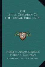The Little Children Of The Luxembourg (1916)