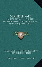 Spanish Salt: A Collection Of All The Proverbs Which Are To Be Found In Don Quixote (1877)