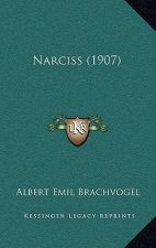 Narciss (1907)