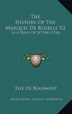 The History Of The Marquis De Roselle V2: In A Series Of Letters (1766)