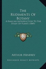 The Rudiments Of Botany: A Familiar Introduction To The Study Of Plants (1849)