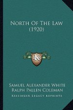 North Of The Law (1920)
