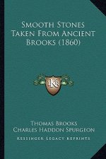 Smooth Stones Taken From Ancient Brooks (1860)
