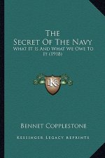 The Secret Of The Navy: What It Is And What We Owe To It (1918)
