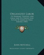 Organized Labor: Its Problems, Purposes, And Ideals And The Present And Future Of American Wage Earners (1903)