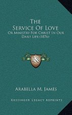 The Service Of Love: Or Ministry For Christ In Our Daily Life (1876)