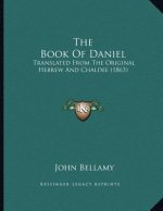 The Book Of Daniel: Translated From The Original Hebrew And Chaldee (1863)