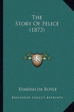 The Story Of Felice (1873)