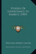 Studies Of Inheritance In Rabbits (1909)