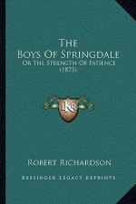 The Boys Of Springdale: Or The Strength Of Patience (1875)
