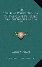 The Spiritual Point-Of-View Or The Glass Reversed: An Answer To Bishop Colenso (1863)