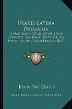 Praxis Latina Primaria: A Handbook Of Questions And Exercises For Daily Use With The Public School Latin Primer (1867)
