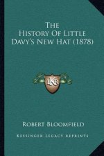 The History Of Little Davy's New Hat (1878)