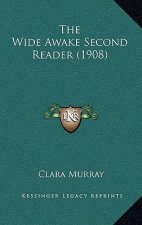 The Wide Awake Second Reader (1908)