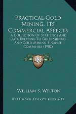 Practical Gold Mining, Its Commercial Aspects: A Collection Of Statistics And Data Relating To Gold Mining And Gold Mining Finance Companies (1902)