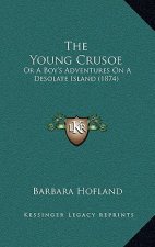 The Young Crusoe: Or A Boy's Adventures On A Desolate Island (1874)