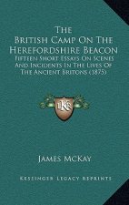 The British Camp On The Herefordshire Beacon: Fifteen Short Essays On Scenes And Incidents In The Lives Of The Ancient Britons (1875)