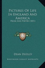 Pictures Of Life In England And America: Prose And Poetry (1851)