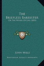 The Briefless Barrister: Or The Wheel Of Life (1855)