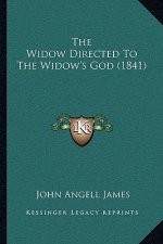 The Widow Directed To The Widow's God (1841)