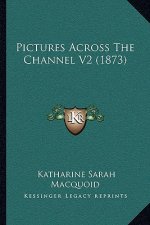 Pictures Across The Channel V2 (1873)