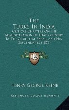 The Turks In India: Critical Chapters On The Administration Of That Country By The Chughtai, Babar, And His Descendants (1879)
