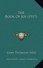 The Book Of Joy (1917)
