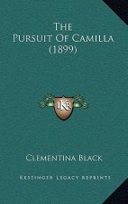 The Pursuit Of Camilla (1899)
