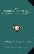 The Essentials Of American Constitutional Law (1917)