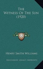 The Witness Of The Sun (1920)