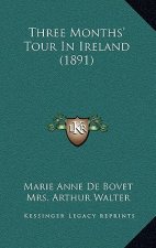 Three Months' Tour In Ireland (1891)