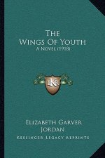 The Wings Of Youth: A Novel (1918)