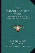 The Witches Of New York: As Encountered By Q. K. Philander Doesticks (1859)