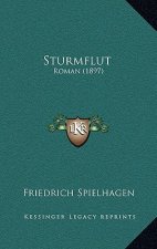 Sturmflut: Roman (1897)