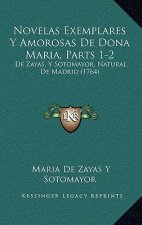 Novelas Exemplares Y Amorosas De Dona Maria, Parts 1-2: De Zayas, Y Sotomayor, Natural De Madrid (1764)