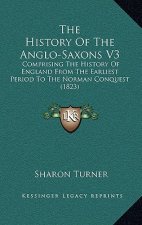 The History Of The Anglo-Saxons V3: Comprising The History Of England From The Earliest Period To The Norman Conquest (1823)