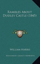 Rambles About Dudley Castle (1845)