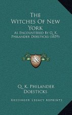 The Witches Of New York: As Encountered By Q. K. Philander Doesticks (1859)