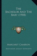 The Bachelor And The Baby (1908)