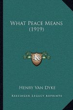 What Peace Means (1919)