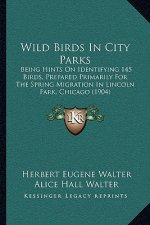 Wild Birds In City Parks: Being Hints On Identifying 145 Birds, Prepared Primarily For The Spring Migration In Lincoln Park, Chicago (1904)
