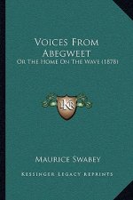 Voices From Abegweet: Or The Home On The Wave (1878)