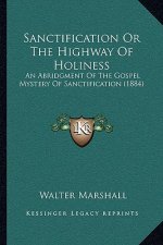 Sanctification Or The Highway Of Holiness: An Abridgment Of The Gospel Mystery Of Sanctification (1884)