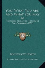 You! What You Are, And What You May Be: Sketched From The History Of The Gadarene (1872)