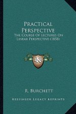 Practical Perspective: The Course Of Lectures On Linear Perspective (1858)