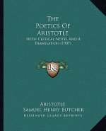 The Poetics Of Aristotle: With Critical Notes And A Translation (1907)