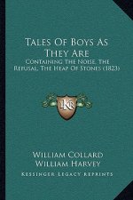 Tales Of Boys As They Are: Containing The Noise, The Refusal, The Heap Of Stones (1823)