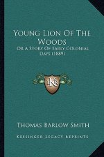 Young Lion Of The Woods: Or A Story Of Early Colonial Days (1889)