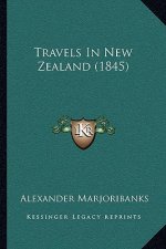 Travels In New Zealand (1845)