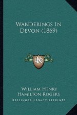 Wanderings In Devon (1869)